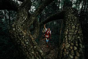 BIB: 
                            <button type="button" onclick="openModal(25690798)" class="btn btn-primary btn-sm float-right btn-popup" data-toggle="modal" data-target=".modal-high-quality">
                        <i class="fas fa-shopping-cart"></i> Add to Cart
                    </button>
                                            <button type="button" onclick="isThisMe(25690798, true)" class="btn btn-success btn-sm float-right btn-popup btn-isme hidden" data-toggle="tooltip" data-placement="bottom" title="นี่คือรูปของคุณใช่ไหม คลิกที่นี่เพื่อเอาเข้าอัลบั้ม">
                        <i class="fas fa-plus"></i> Add to album
                    </button>
                    <button type="button" onclick="isThisMe(25690798, false)" class="btn btn-warning btn-sm float-right btn-popup btn-isnotme hidden">
                        <i class="fas fa-ban"></i> Remove from album
                    </button>